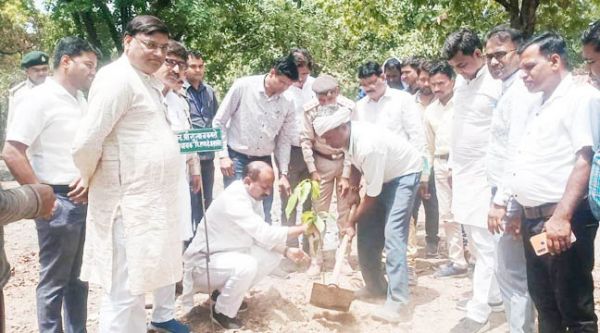 पेड़-पौधों के बिना जीवन सुरक्षित नहीं- कमरो
