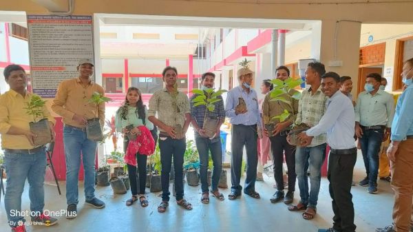 कॉलेज परिसर में रोपे पौधे, सुरक्षा की शपथ भी