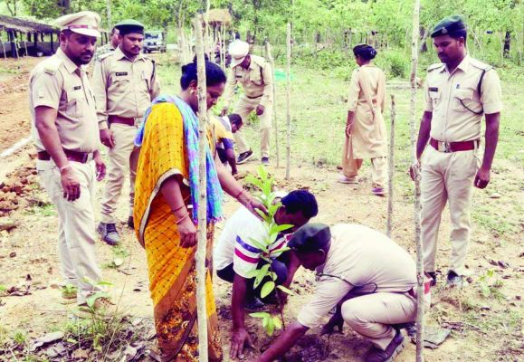 वन विभाग ने विश्व पर्यावरण दिवस पर रोपे पौधे, सुरक्षित रखने की अपील 