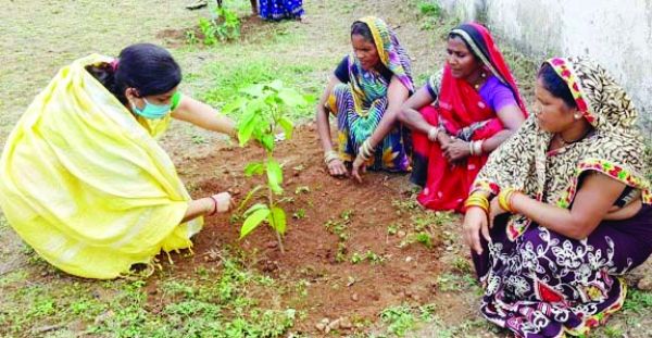 प्रकृति माता को वातानुकूलित करने वृक्षारोपण ही उपाय- प्रज्ञा 
