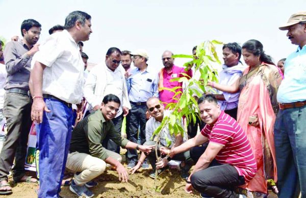 कलेक्टर-एसपी व सीईओ ने रोपे पौधे