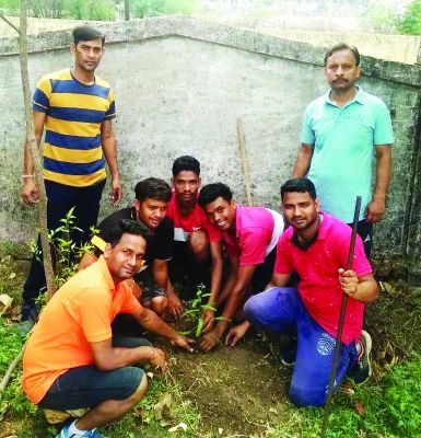 युवाओं ने किया पौधरोपण