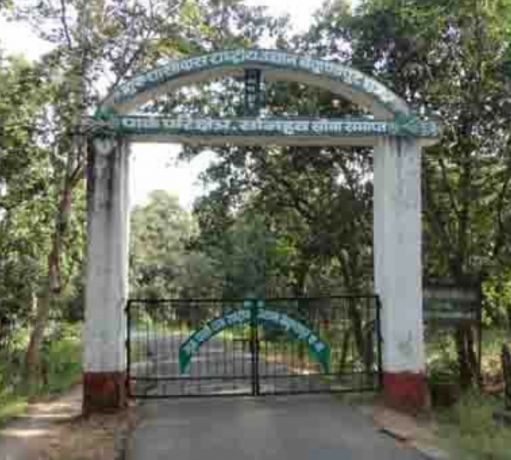 गुरू घासीदास उद्यान में भीषण आग और गैर जरूरी विकास कार्यों ने वन्य जीवों के लिए खतरे की घंटी बजा दी