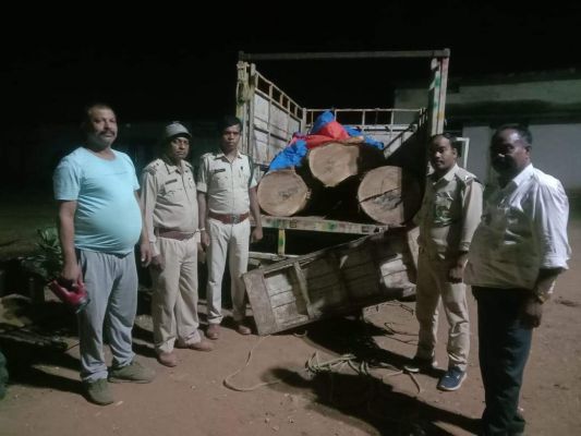 अवैध रूप से इमारती लकड़ी का परिवहन, पिकअप छोडक़र चालक फरार