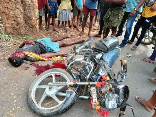 पेड़ से टकराई बाईक, युवक गंभीर