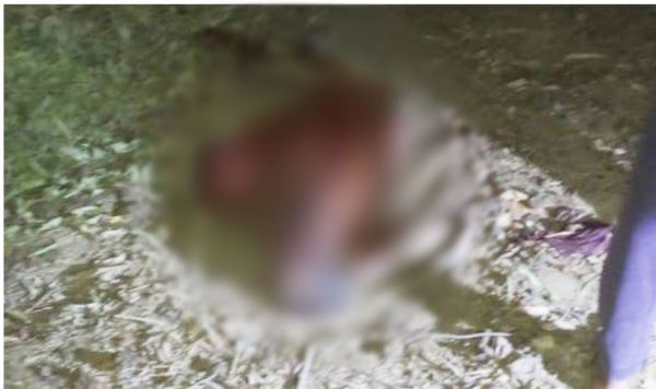 दल से भटके हाथी के हमले से फिर एक ग्रामीण की जान गई, दो दिन में दूसरी मौत