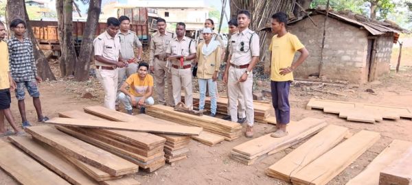 छापा, अवैध सागौन चिरान जब्त