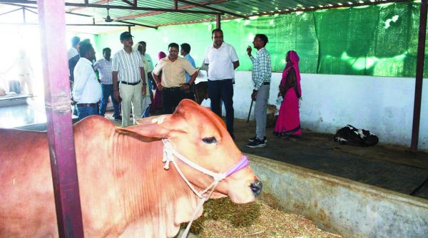 अमलीडीह गौठान महिला समूह के लिए बना आमदनी अर्जित करने का सशक्त माध्यम
