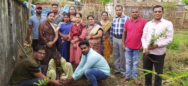 मुखर्जी की स्मृति में भाजपाई कर रहे पौधारोपण
