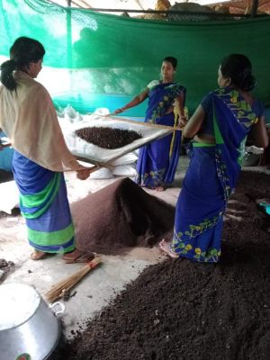 आर्थिक विकास में गति देती स्व सहायता समूह की महिलाएं