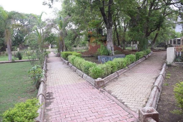 हरियाली की चादर ओढ़े कलेक्टोरेट गार्डन हुआ गुलजार