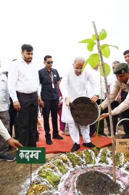 हाईटेक नर्सरी से बड़े पैमाने पर पौधे उगाए जा सकेंगे, इससे पौधरोपण को मिलेगा बढ़ावा- भूपेश
