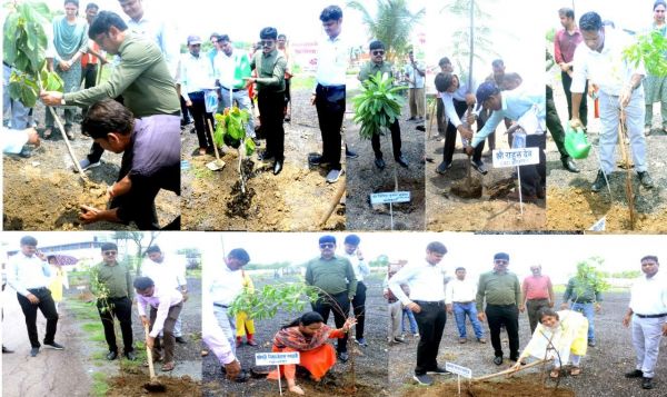 कलेक्टर, एडीएम सहित अधिकारियों ने लगाए पौधे
