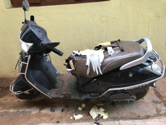 आवारा कुत्तों का आतंक, काटने की शिकायतें, वाहनों के सीट भी फाड़ रहे