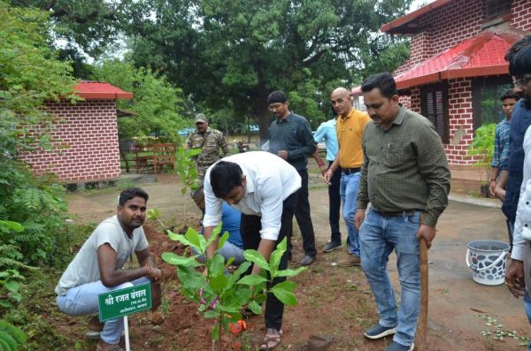 निवर्तमान कलेक्टर ने आमचो बस्तर क्लब में किया पौधारोपण