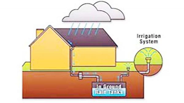 तीन साल में कितने वाटर हार्वेस्टिंग सिस्टम तैयार हुए, ननि को मालूम नहीं