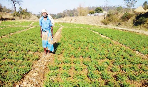  किसान न्याय योजना से खेती किसानी को मिल रहा प्रोत्साहन-जयनाथ