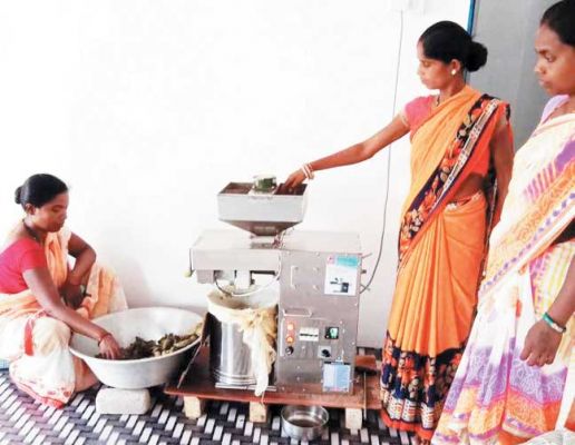 बालाछापर गौठान की सखी स्व सहायता समूह की महिलाएं तेल पेराई कर बन रही है आत्मनिर्भर