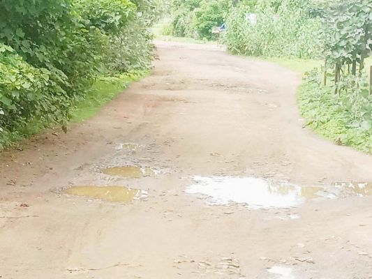 विधायक कमरो की पहल पर छात्रावास पहुंच मार्ग के लिए 50 लाख मंजूर
