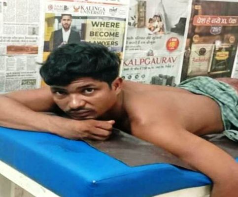 एटीआर में युवक पर बाघिन का हमला, पेड़ पर चढक़र बचाई जान