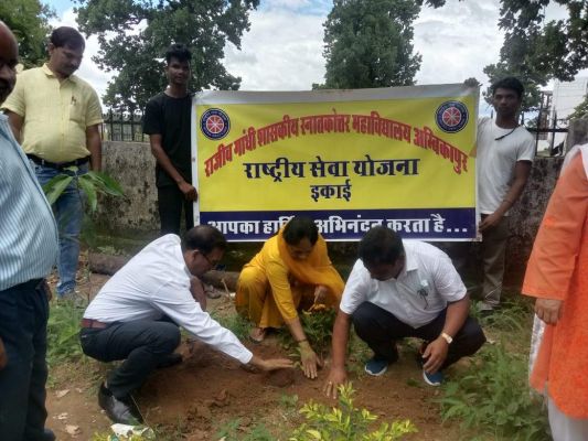 स्नातकोत्तर महाविद्यालय में पौधारोपण