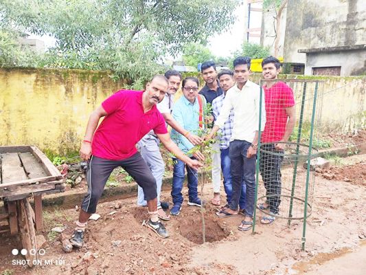बस्तर सांसद बैज के जन्मदिन पर रोपे पौधे