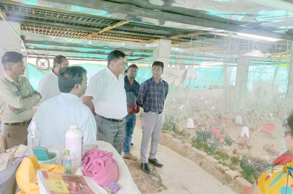 सालिकझिटिया, अमलीडीह और पीपरखार गौठान का कलेक्टर ने किया निरीक्षण