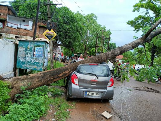 कोटा जनपद कार्यालय के बाहर तेज बारिश शुरु होते ही पेड़ कार पर गिरा