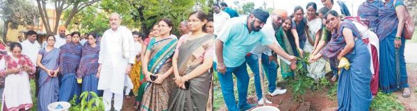 महाविद्यालय में विधायक धनेन्द्र साहू ने किया पौधरोपण