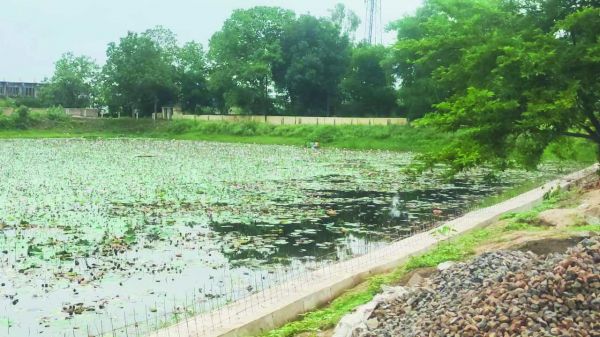 गर्मी के बाद बारिश में फिर तालाब की सफाई