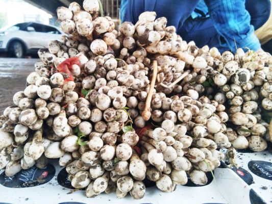 नांदगांव के बाजार में फुटु 800 रुपए किलो