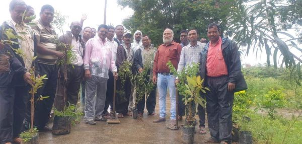 शैक्षिक समन्वयकों ने पौधरोपण कर किया रक्तदान
