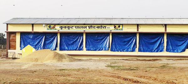 26 नवीन गौठान व 207 से अधिक मुर्गी शेड को मिली स्वीकृति