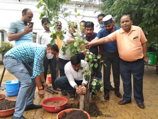 निगम परिसर में पौधरोपण