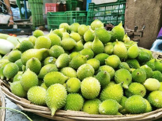ढाई सौ रुपए कीमत के साथ देशी खेक्सी बाजार में