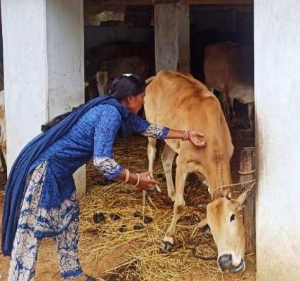 पशुपालन को आय संवृद्धि के लिए आधार बनाने जुटी हैं पशु सखियां