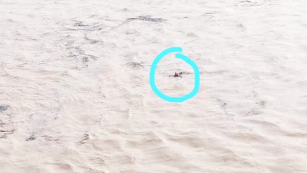 चित्रकोट जलप्रपात के नीचे मिली महिला की लाश