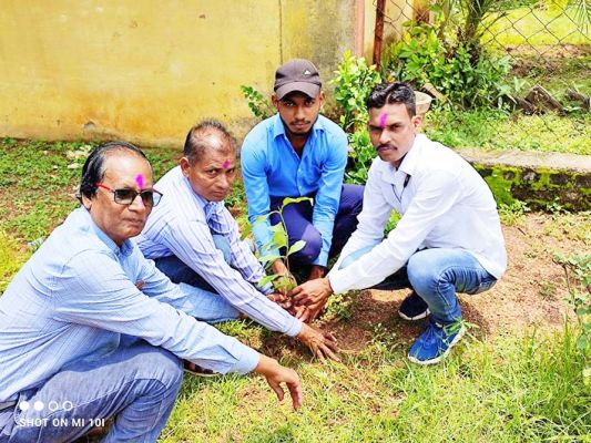 हरेली  पर जनप्रतिनिधियों ने रोपे स्कूल परिसर में पौधे