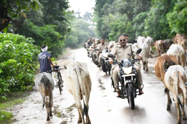 शहीद सप्ताह में एसपी की मोटर साइकिल मेें नक्सल क्षेत्र का दौरा