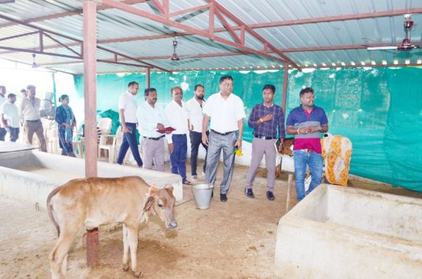 कलेक्टर ने गौठान योजना के लिए दी 4 करोड़ की स्वीकृति
