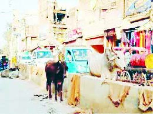मुख्यालय के सडक़ों पर आए दिन हो रही  दुर्घटनाओं के बाद भी नहीं ली जा रही सुध