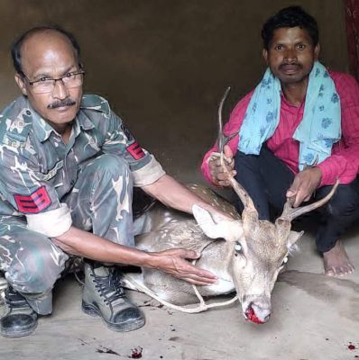 सूने मकान में बंधे हिरण का शावक को कराया मुक्त