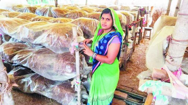 मशरुम उत्पादन ने बदली समूह की महिलाओं की जिंदगी