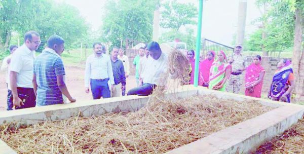 कलेक्टर ने गौठान का किया निरीक्षण