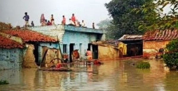 नहर फूटने से जांजगीर में 100 एकड़ फसल चौपट, दर्जन भर घरों सहित सडक़ मैदान में पानी घुसा