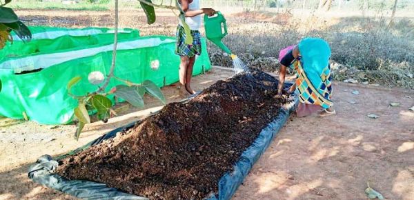 गोधन न्याय योजना में फर्जीवाड़ा, समितियों को बिना खाद बनाए भुगतान भी