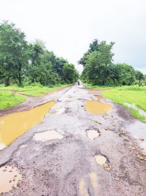 कुकरेल-बनबगौद-नरहरा मार्ग जर्जर
