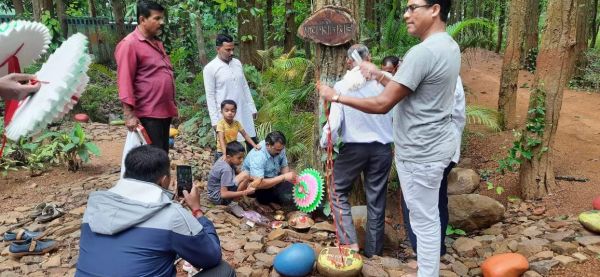 18 बरस से साल पेड़ को बांधा जा रहा है रक्षा सूत्र