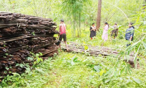 सीसीएफ ने माना हुई है लापरवाही, बरसात के पहले हो जाना था उठाव  