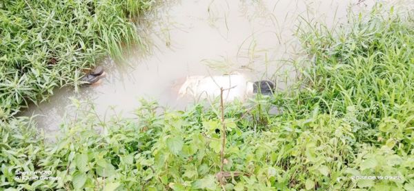 गिट्टी खदान रोड पर डबरी में मिली लाश, जांच में जुटी पुलिस